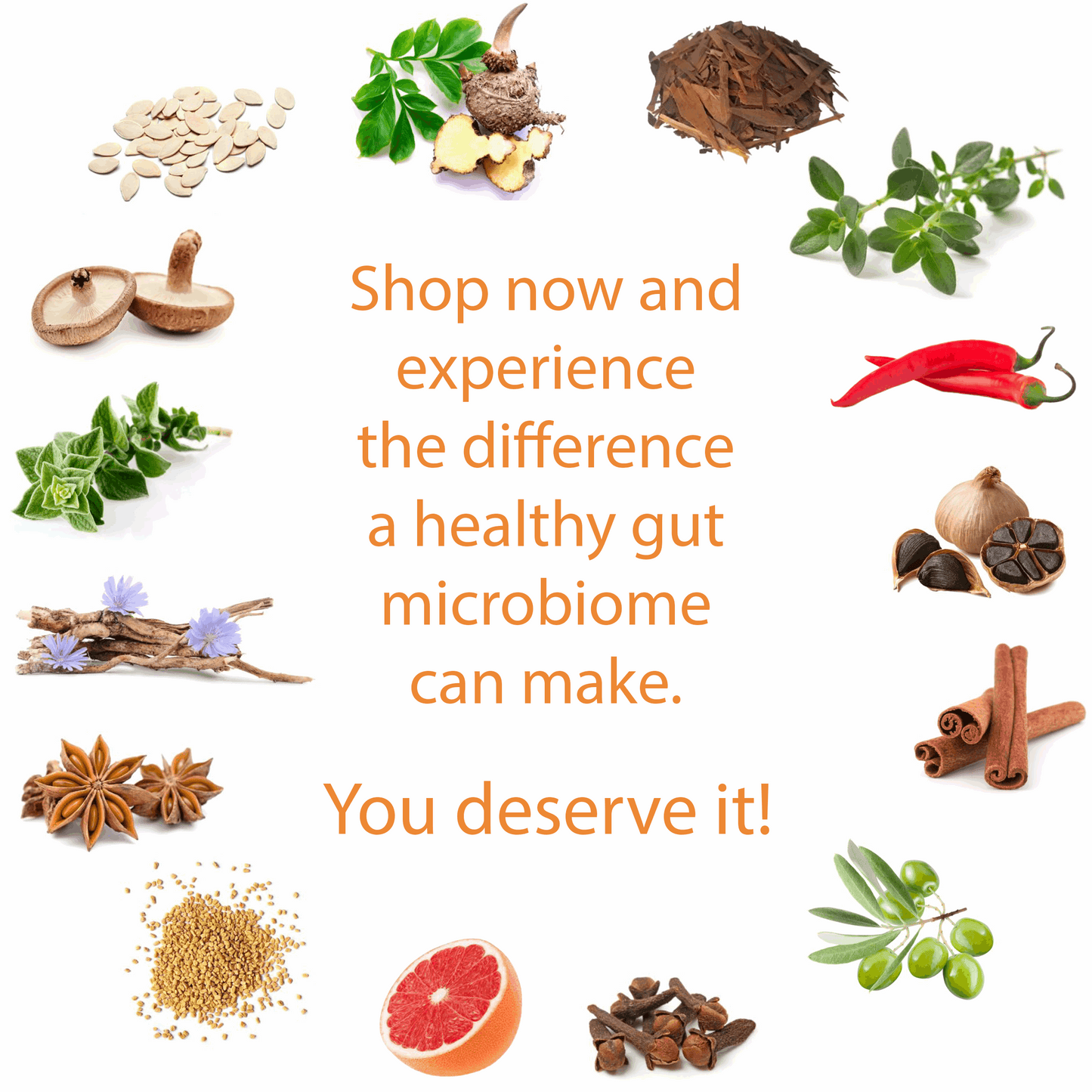 Parasite Cleanse Supplement for Humans | Natural Parasite Detoxification The Health Improvers