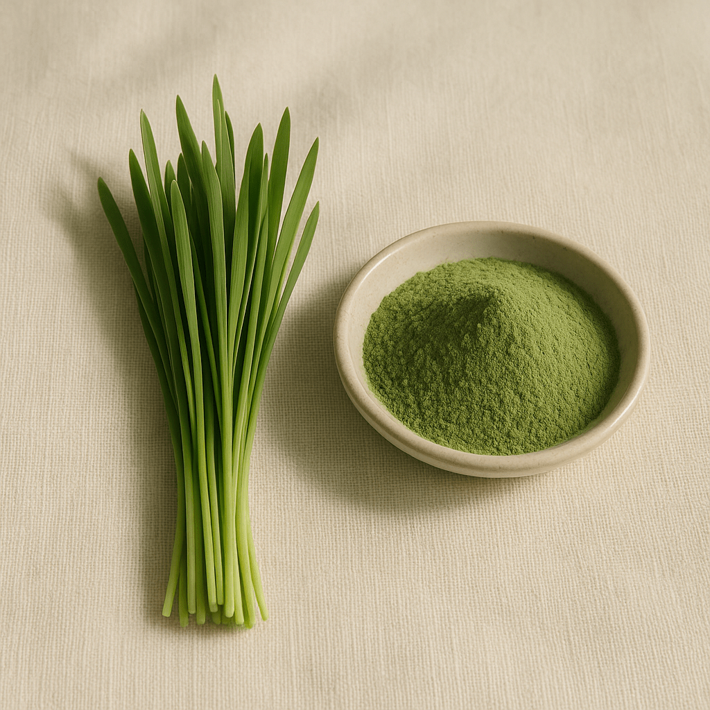 Wheat grass representing a UK comparison of greens powders by ingredients, organic certification and cost