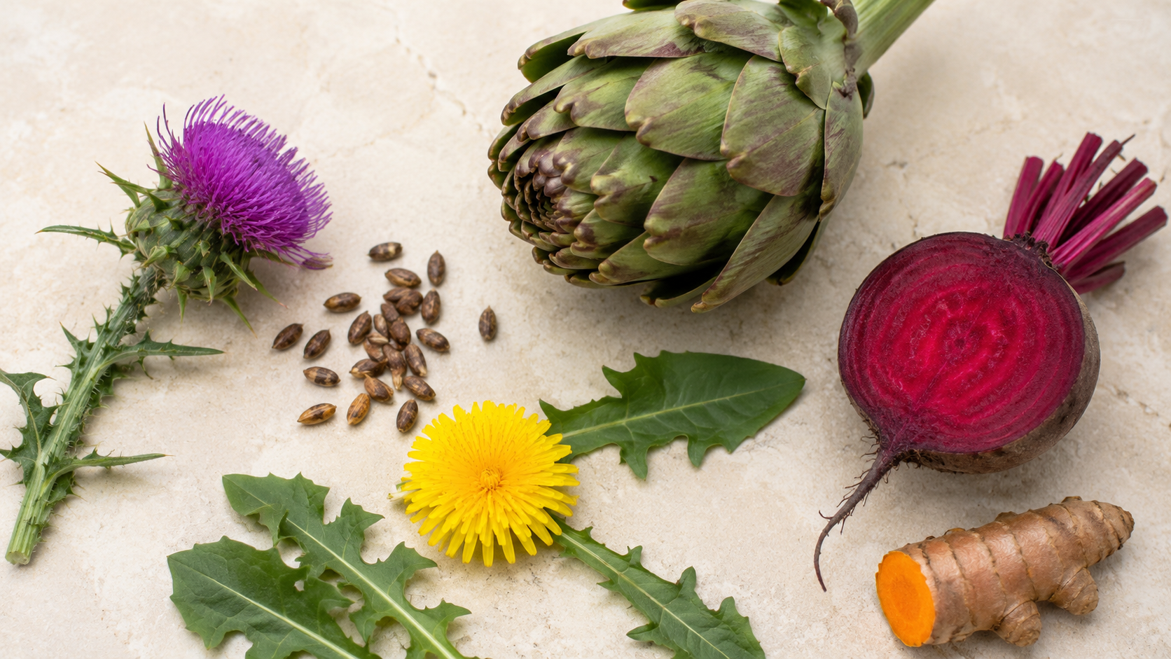 Ingredients Used in Liver-Support Supplements: A UK Guide