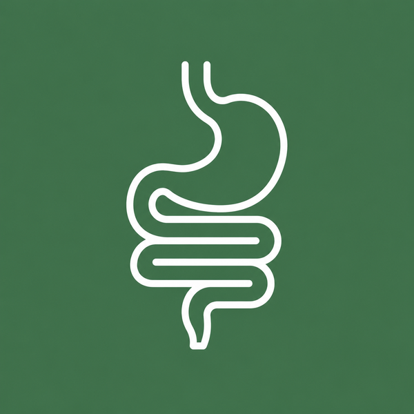 Digestion & Gut Health