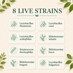 Eight live bacteria strains in the 4 Billion CFU probiotic, including Lactobacillus acidophilus, Lactobacillus rhamnosus and Bifidobacterium longum