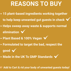 Parasite Cleanse Supplement for Humans | Natural Parasite Detoxification & Dewormer - The Health Improvers