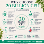 High Strength Probiotic UK | 20 Billion CFU 8-Strain Vegan Capsules