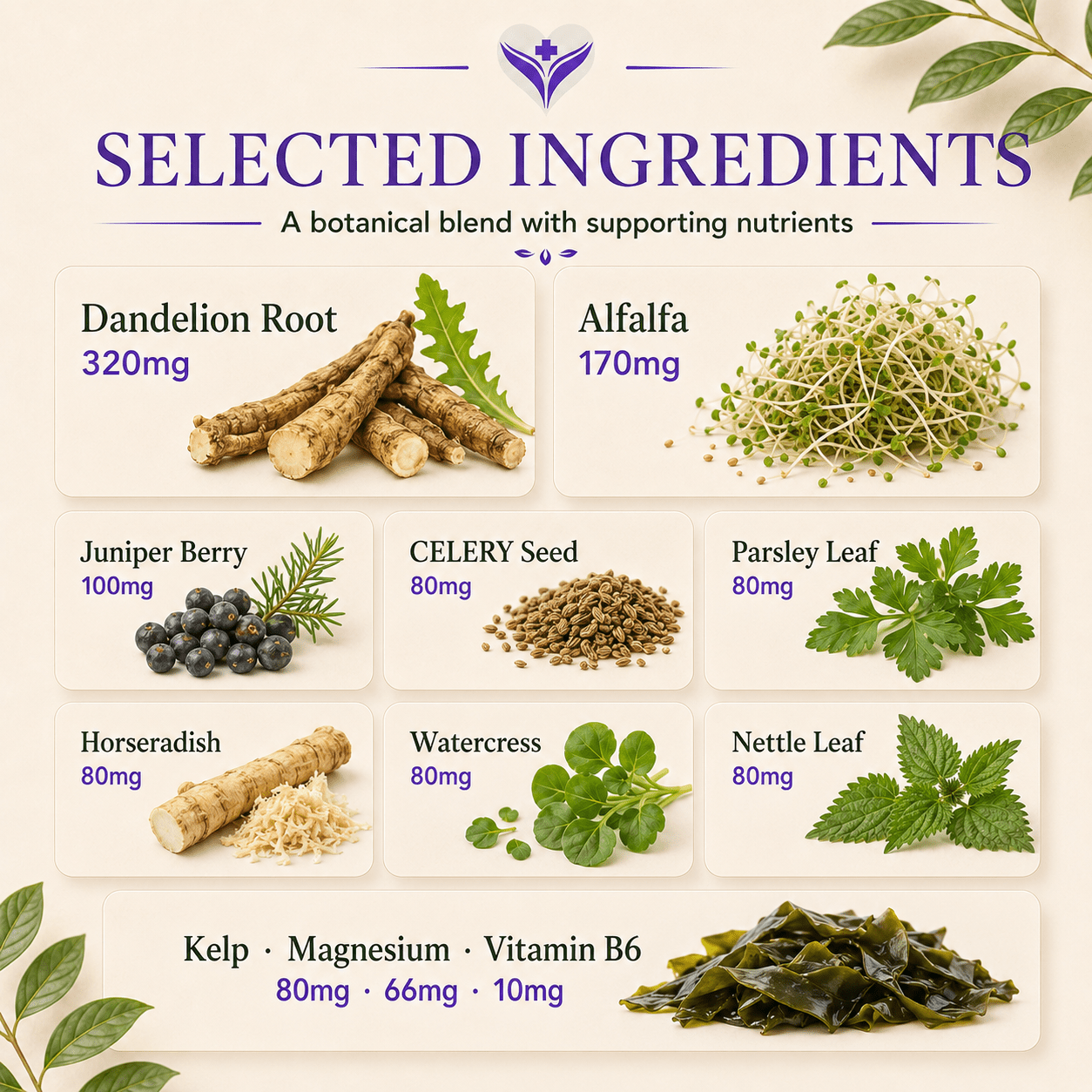 Selected ingredients in Aqualibrium including dandelion root, alfalfa, juniper berry, celery seed, nettle, parsley, kelp, magnesium and vitamin B6