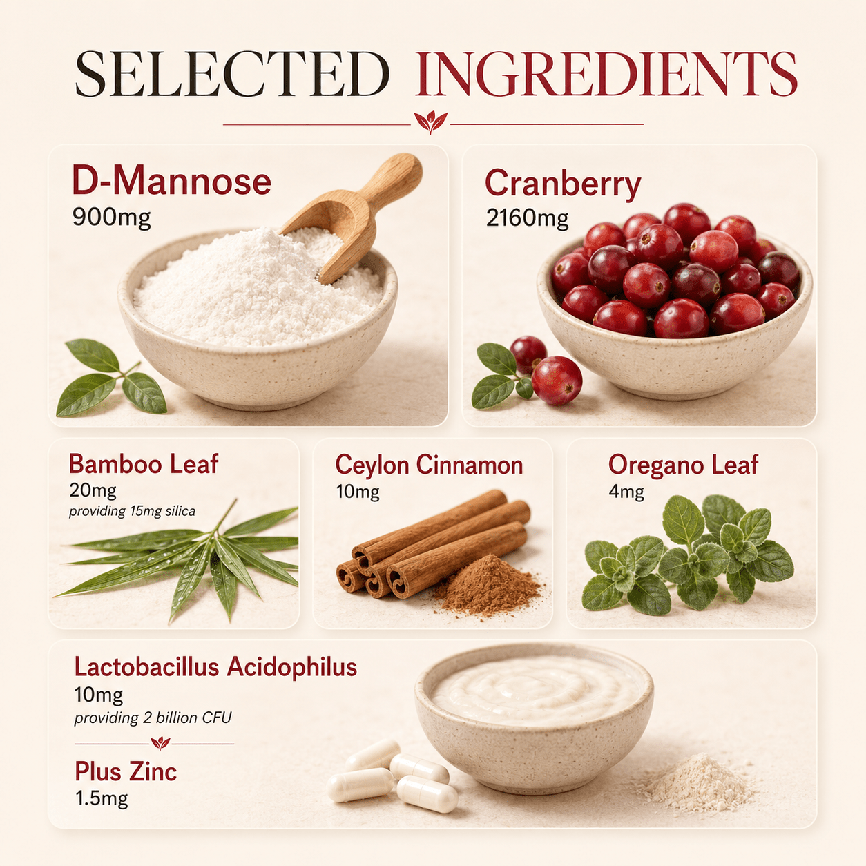 Selected ingredients in D-Mannose Ultimate Complex including D-Mannose, cranberry, Lactobacillus acidophilus, Ceylon cinnamon and oregano
