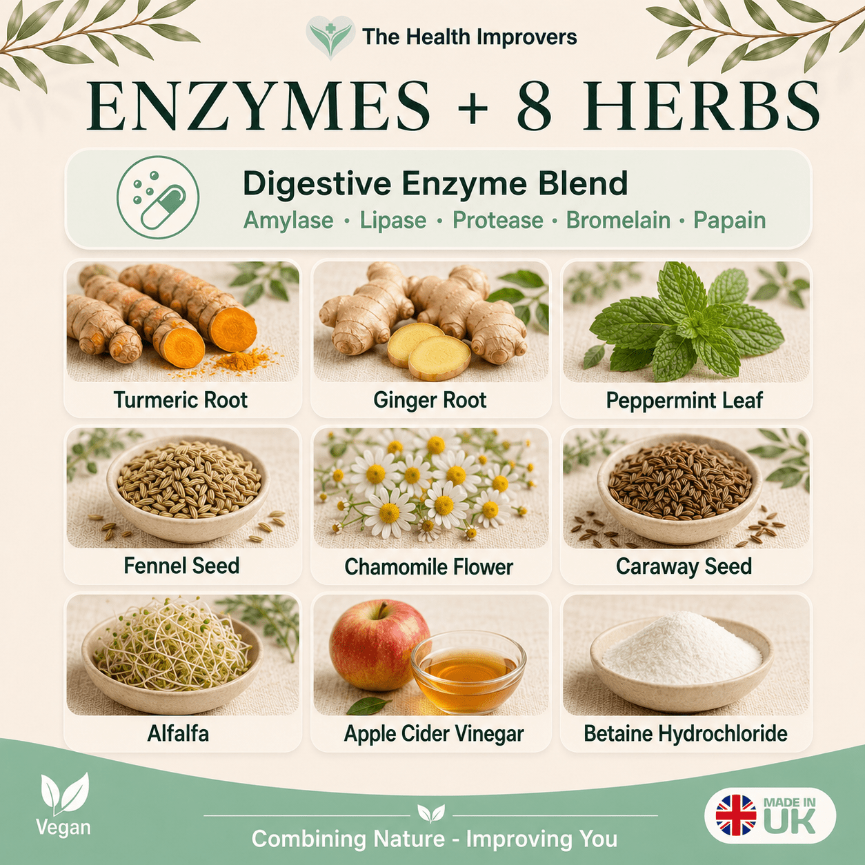 Digestive enzyme blend with amylase, lipase, protease, papain and bromelain plus eight herbs including turmeric, fennel, ginger and peppermint