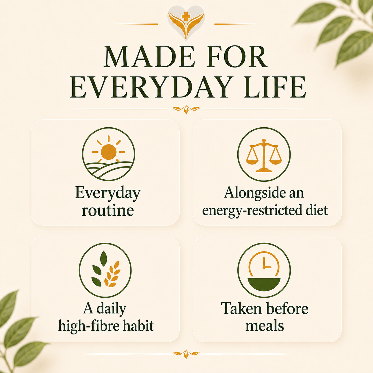 Fibre&More made for everyday life and daily wellness routines