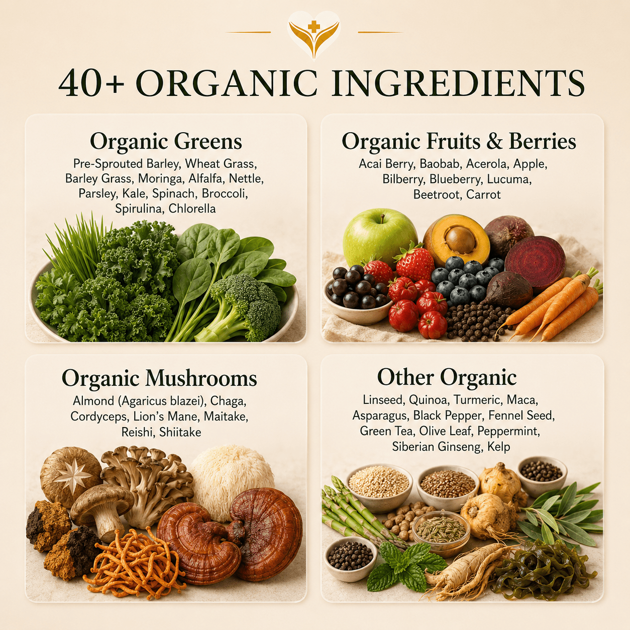 What's inside Daily Nutrient Booster, 40+ organic greens, fruits, berries and mushrooms