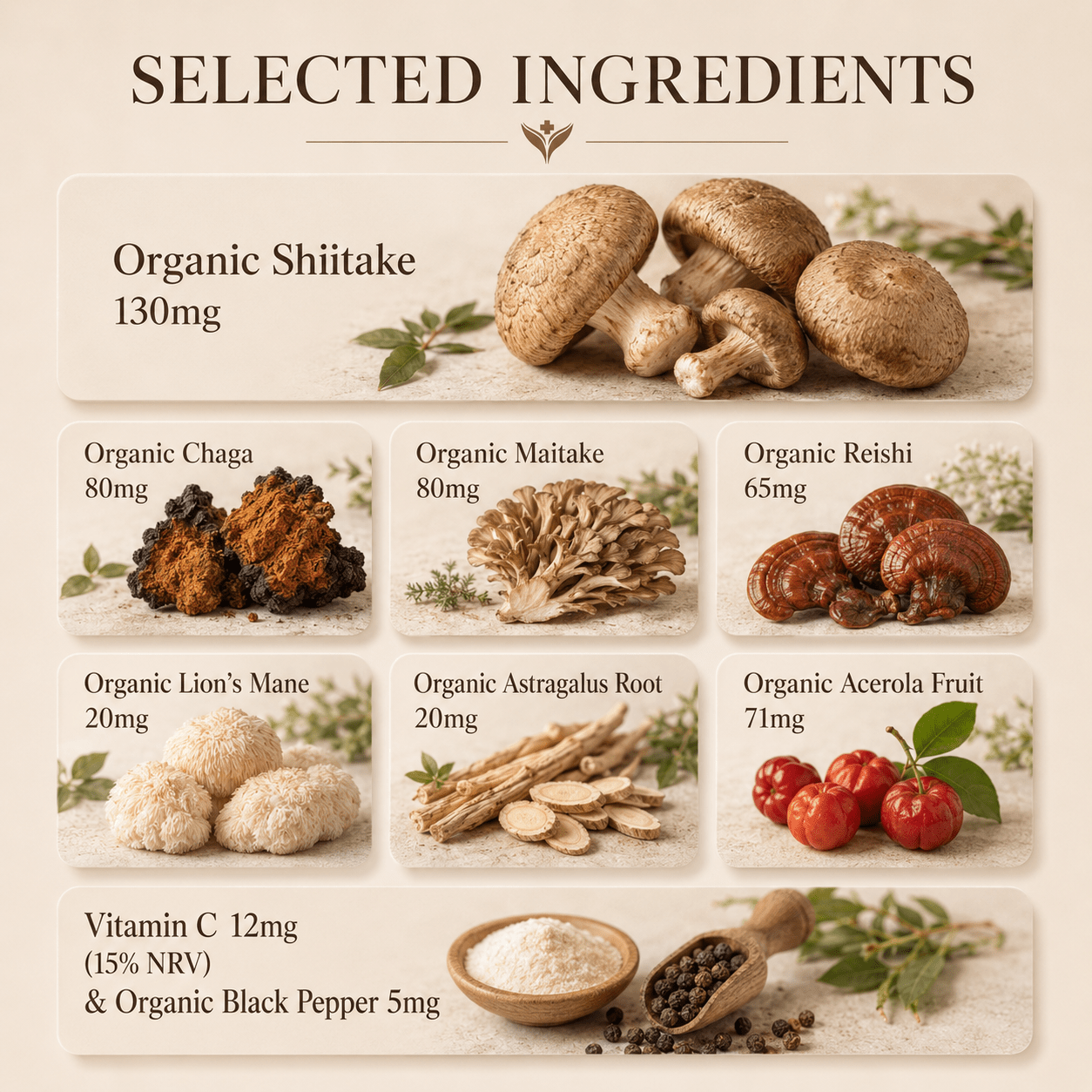Selected ingredients in Organic Mushroom Complex including organic shiitake, reishi, maitake, lion's mane, cordyceps and chaga with vitamin C