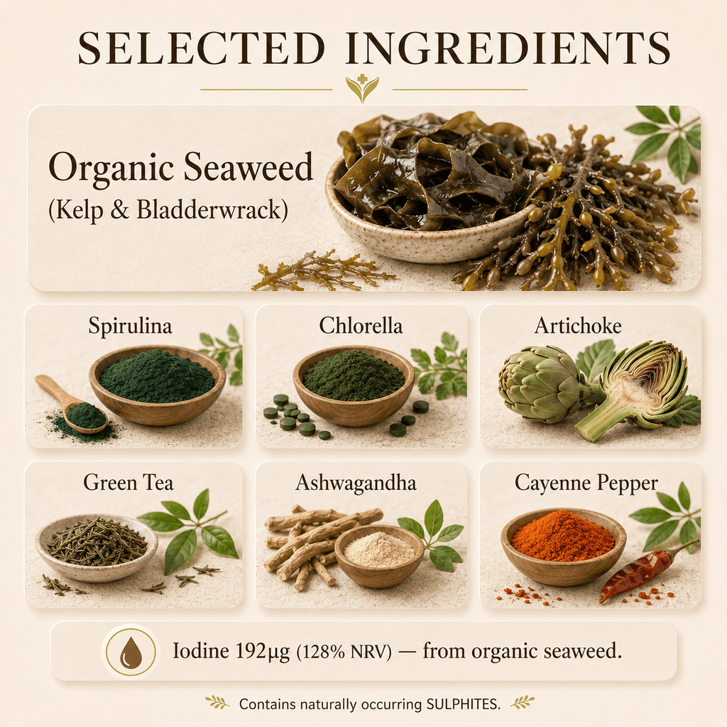 Selected ingredients in Organic Seaweed Complex including organic kelp, blackcurrant, spirulina, ashwagandha, chlorella, green tea and cayenne