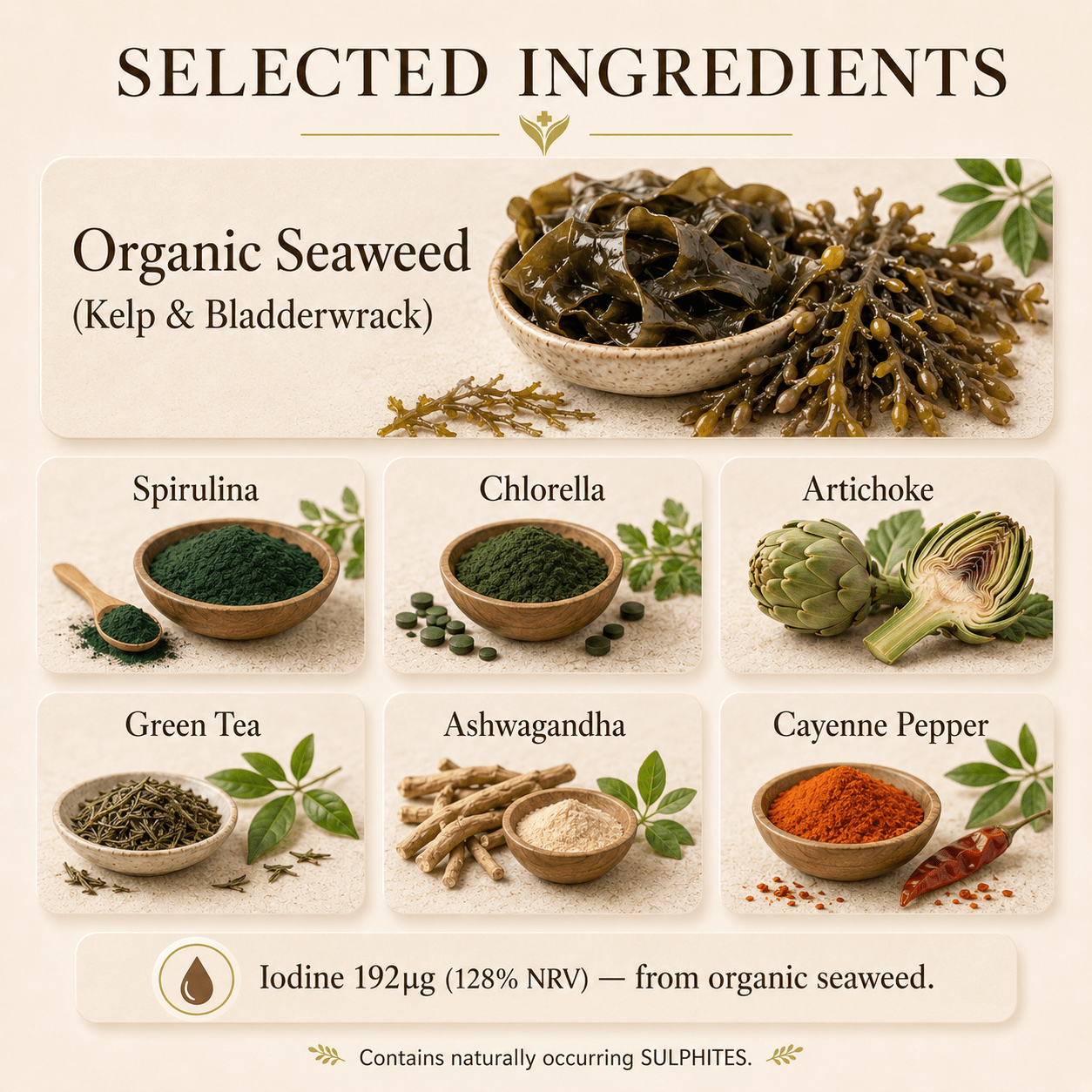 Selected ingredients in Organic Seaweed Complex including organic kelp, blackcurrant, spirulina, ashwagandha, chlorella, green tea and cayenne