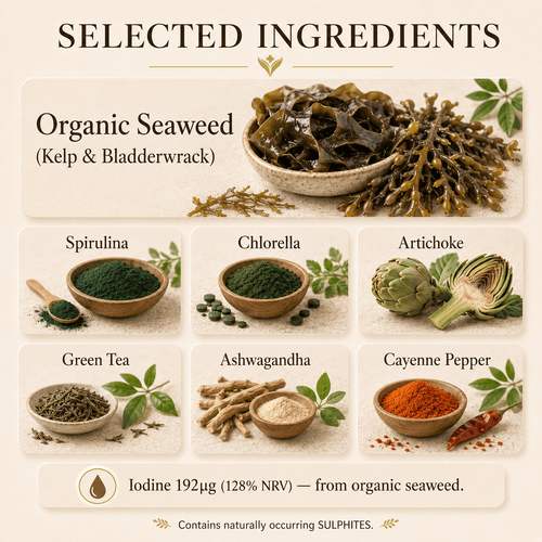 Selected ingredients in Organic Seaweed Complex including organic kelp, spirulina, artichoke, chlorella, green tea, ashwagandha and cayenne