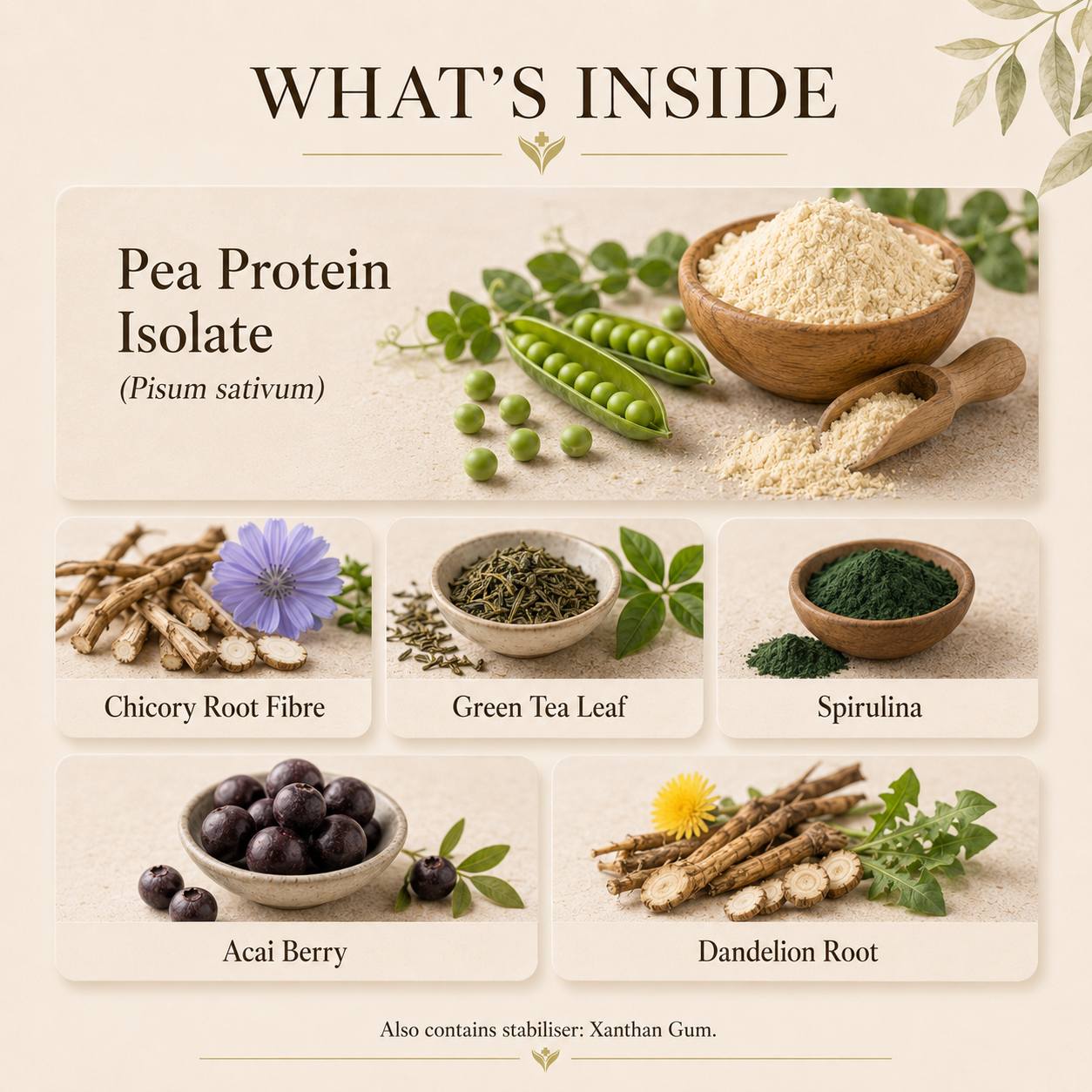 What is inside Pea Protein, pea protein isolate with a spirulina and acai superfood blend