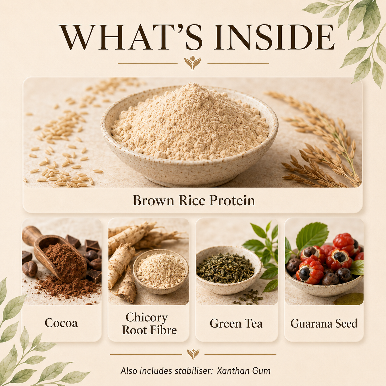 What is inside Rice Protein, brown rice protein with cocoa, green tea, guarana and chicory